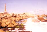 Cabo Polonio