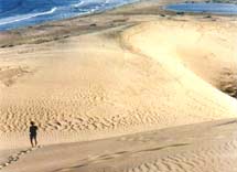 Dunas - Cabo Polonio