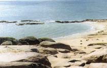 Playa - Cabo Polonio