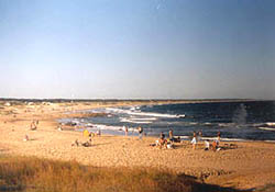 Playa